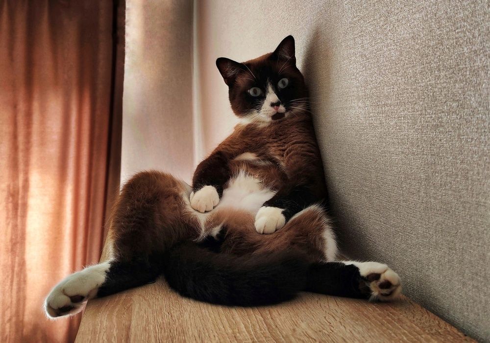 Photograph by Mila Vshivkova