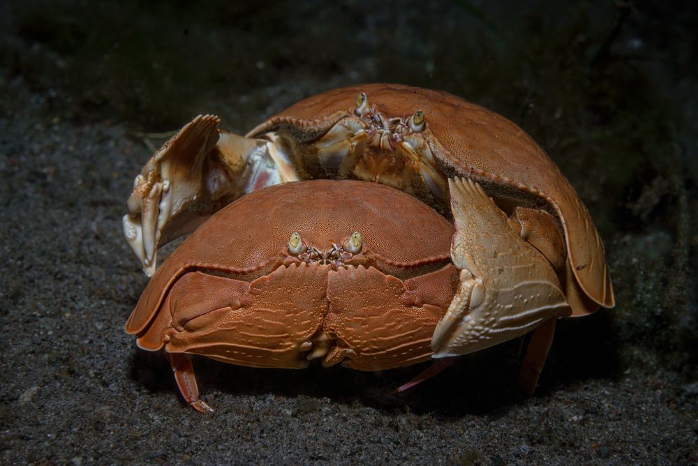 Photograph by Савин Андрей