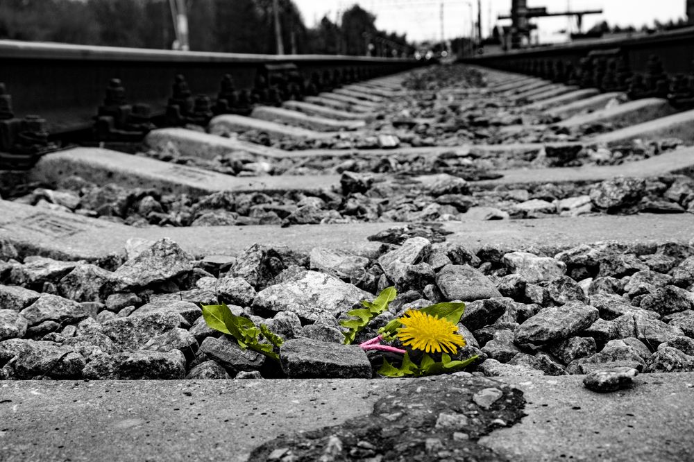 Photograph by Ксения Определенкова