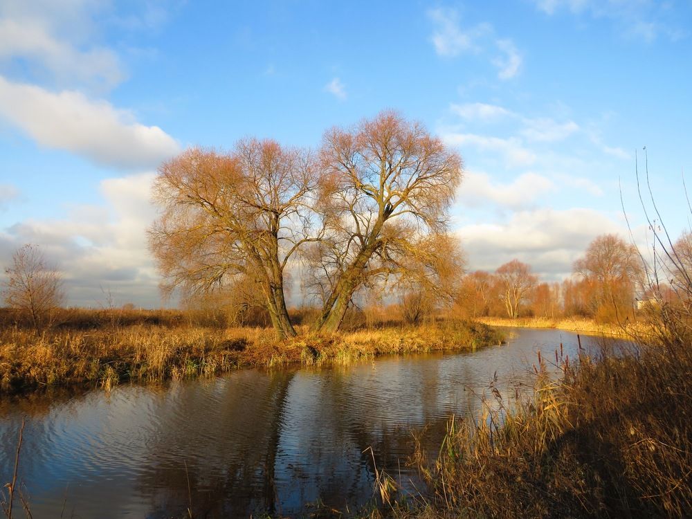 Поздняя осень на реке