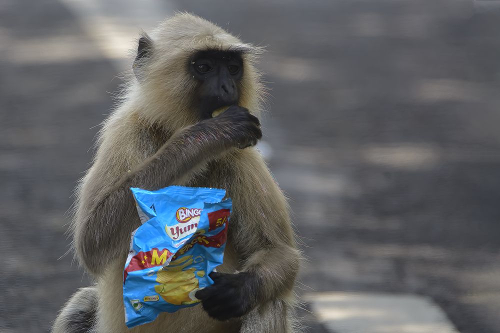 Photograph by RITESH KHABIA