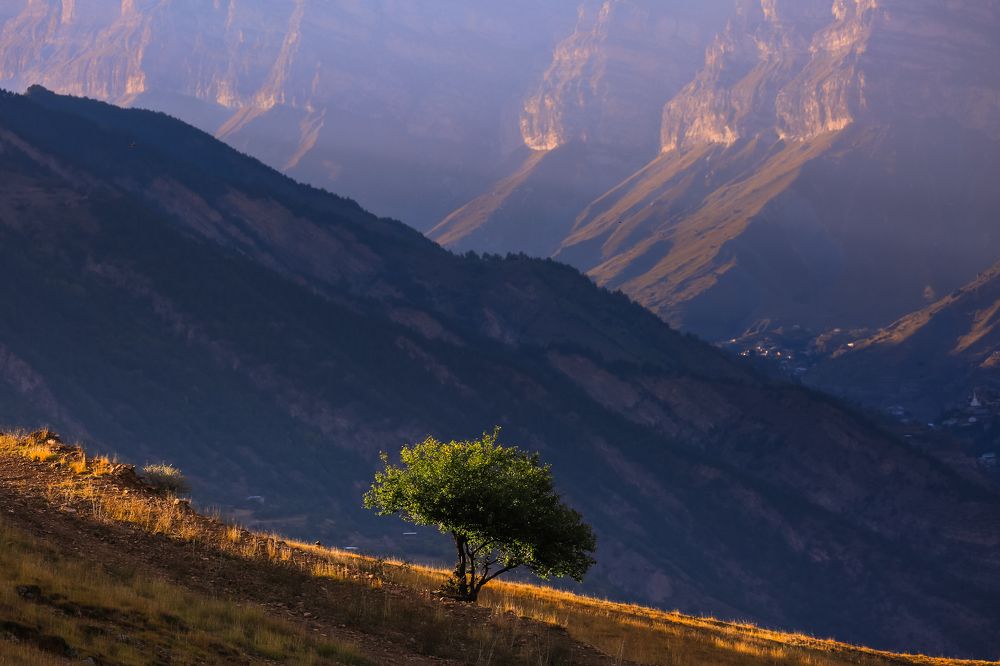 Photograph by Ерышова Анастасия