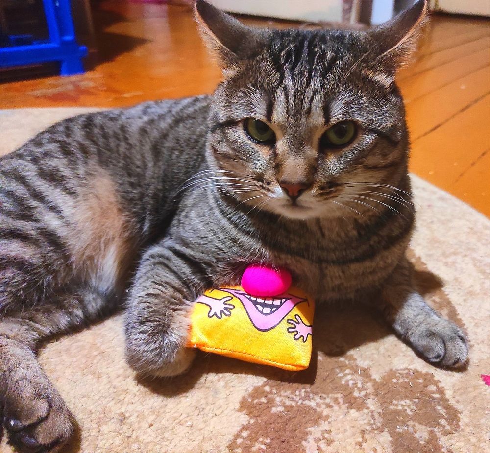 Photograph by Ирина Саттарова