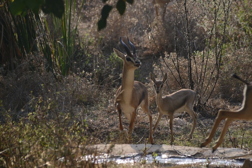 Photograph by Дарья Эпштейн