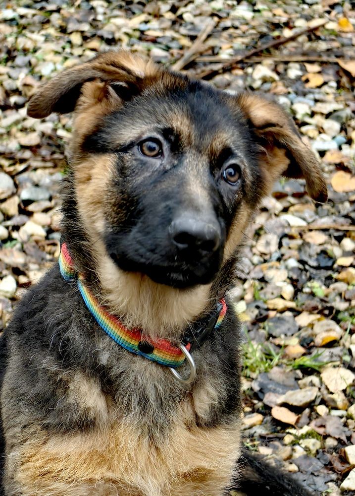 Photograph by Анна