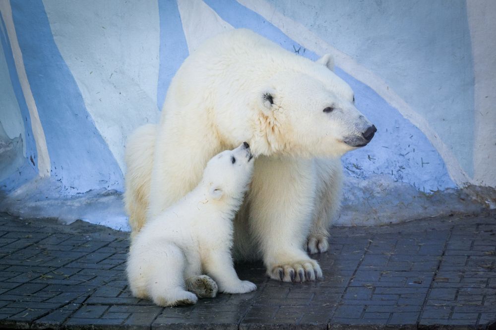 Photograph by Ольга Тюрина