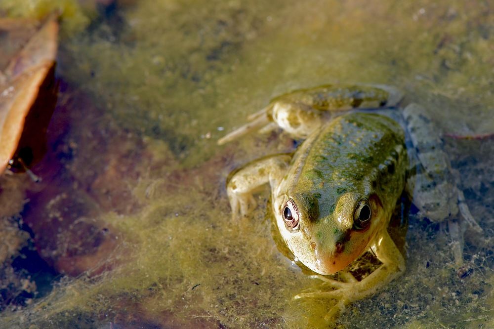 Photograph by Юлия Мартова