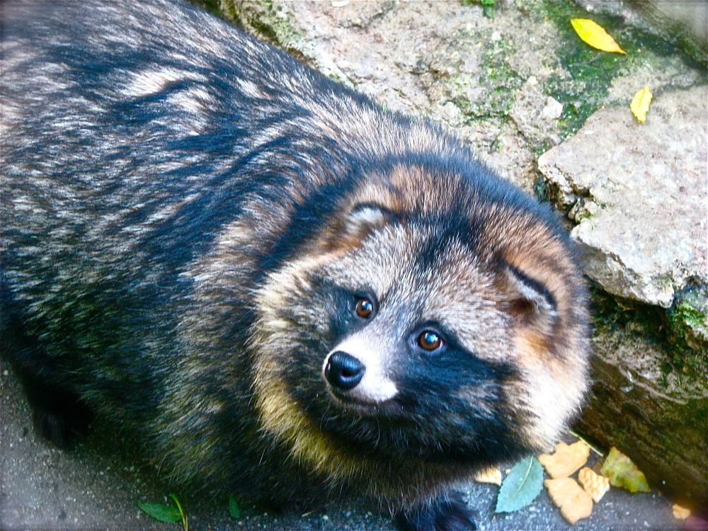 Photograph by Юлия Мартова