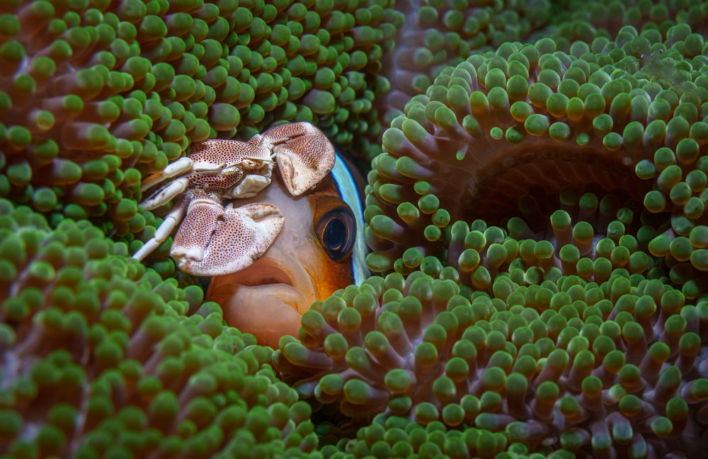 Photograph by Савин Андрей