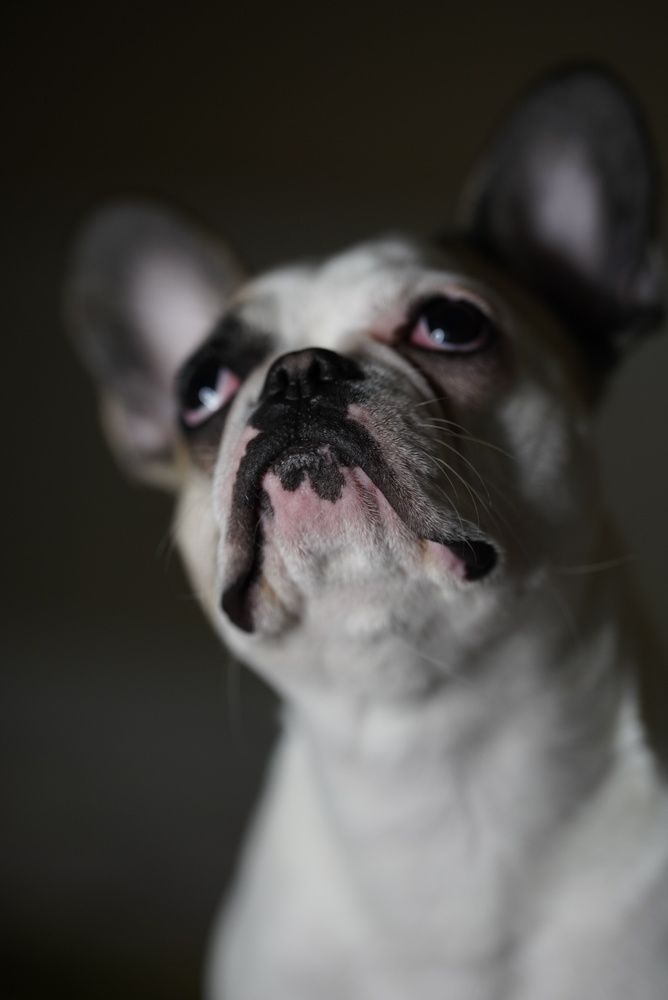 Photograph by Ольга Беспалько