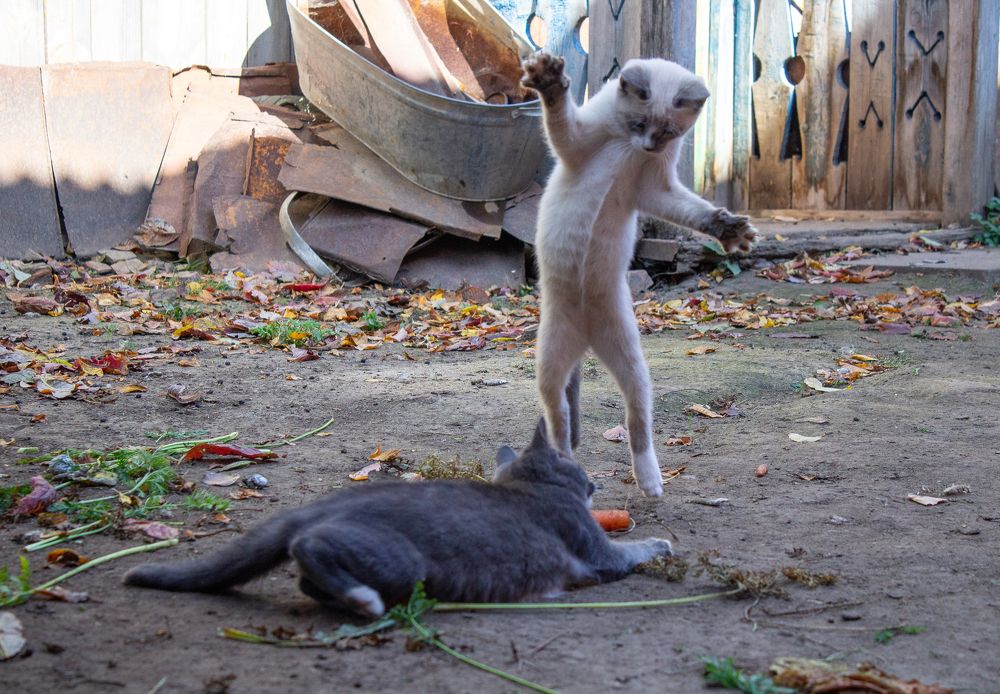 Photograph by Оксана Леонтьева