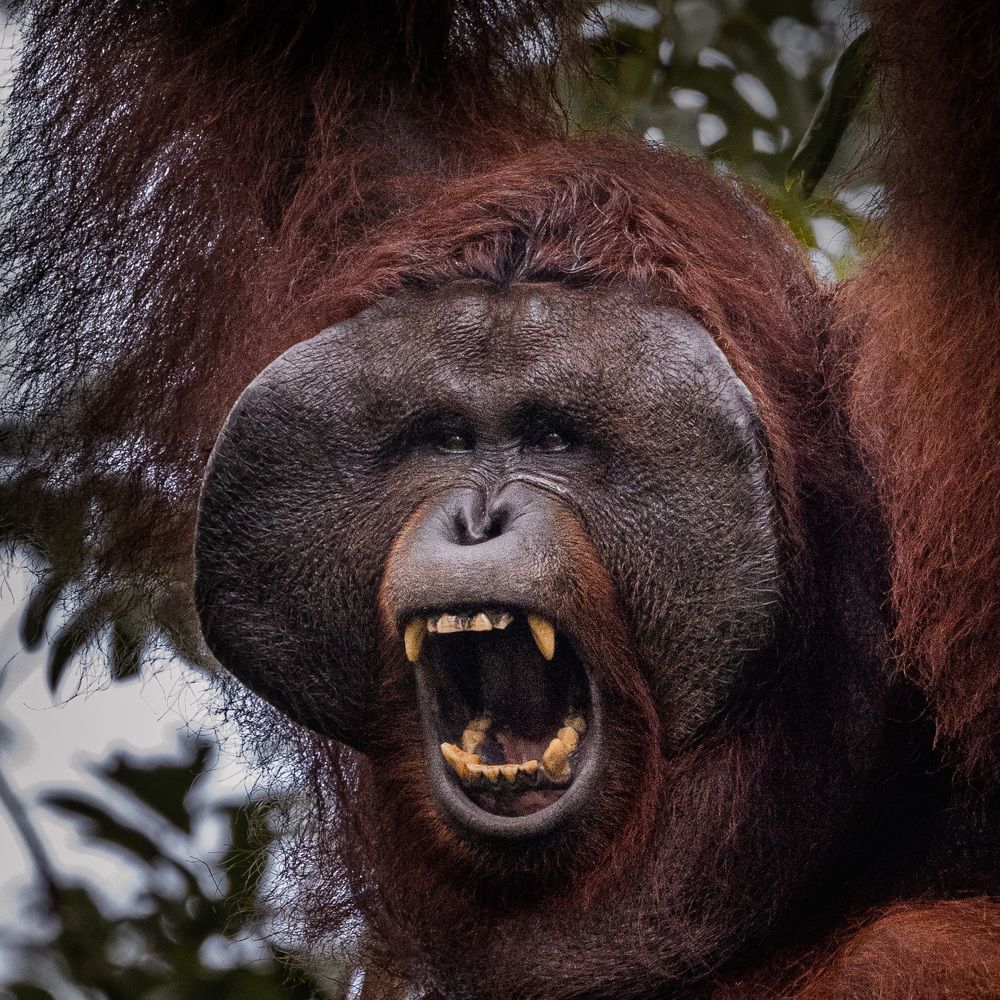 Photograph by Светлана Дмитриева