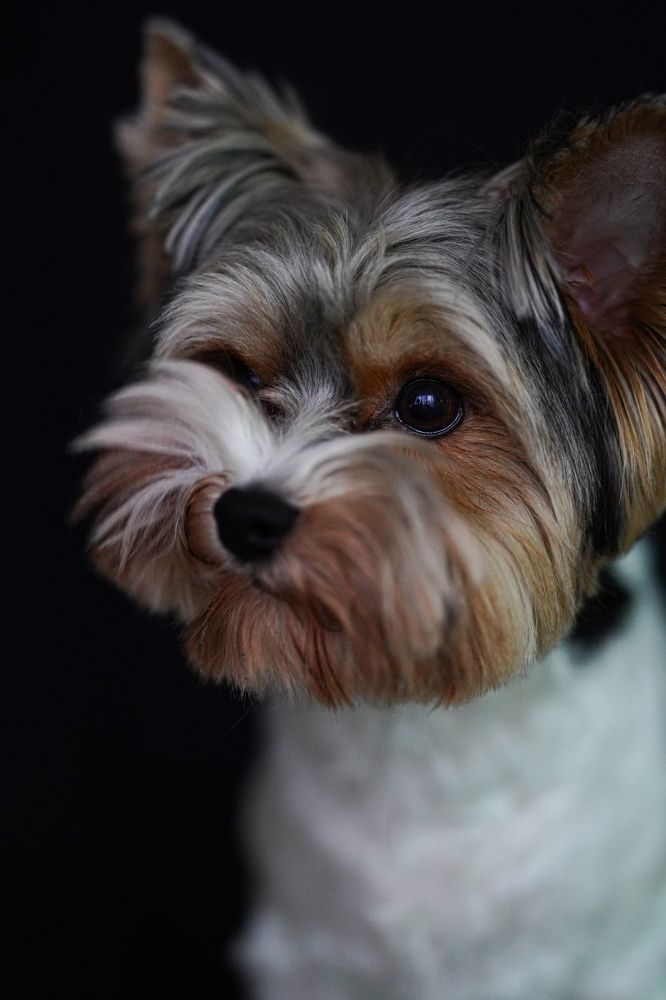 Photograph by Ольга Беспалько