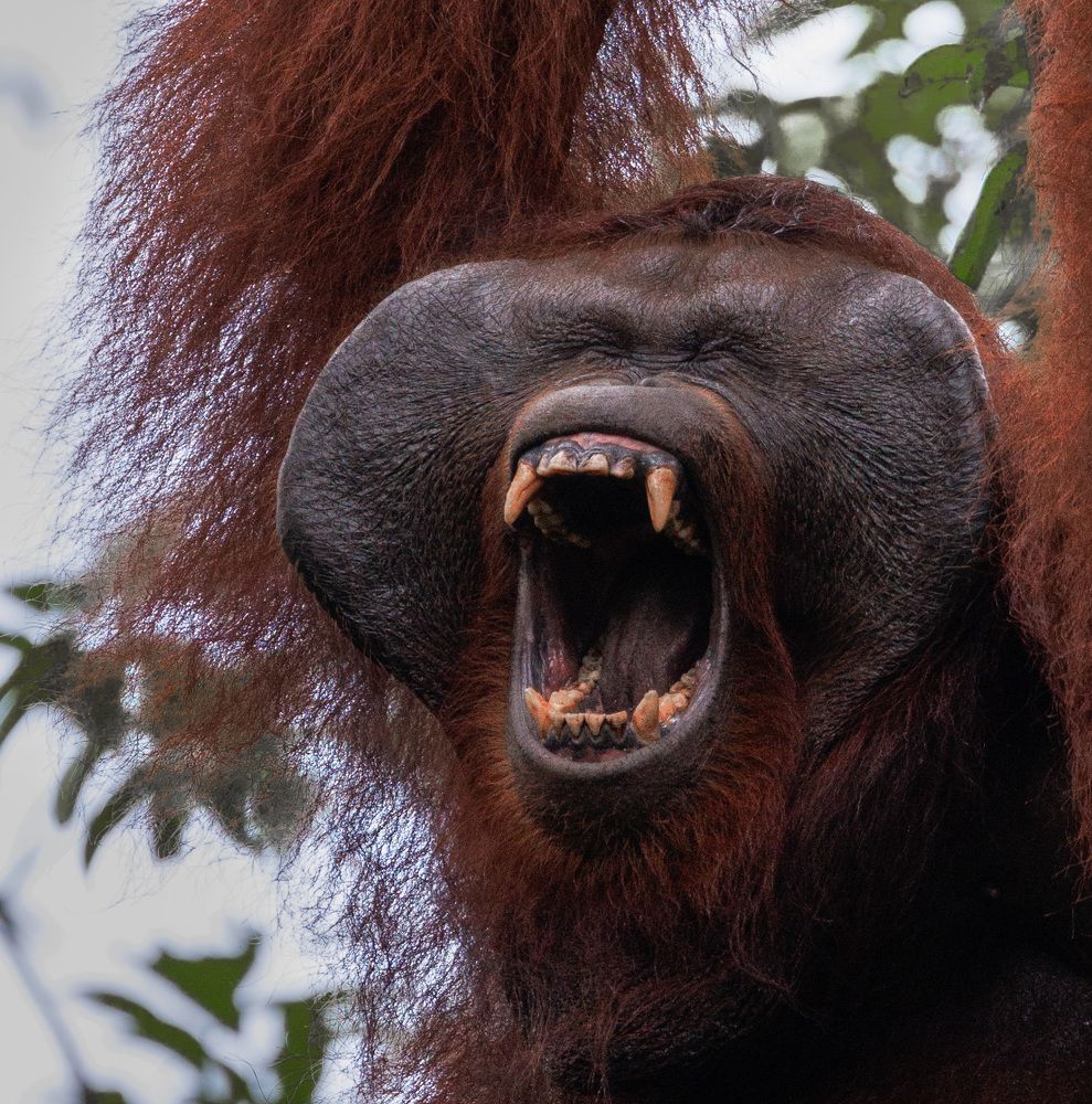 Photograph by Светлана Дмитриева