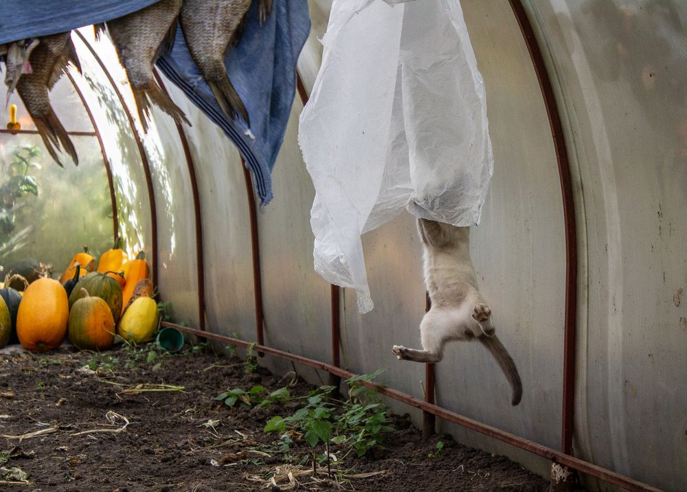 Photograph by Оксана Леонтьева