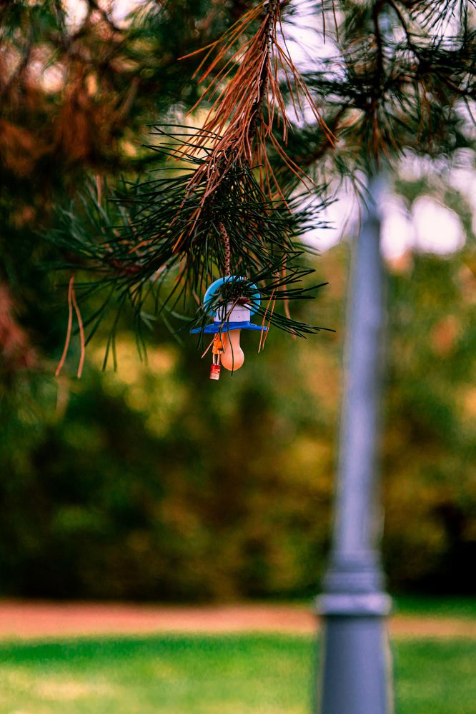 Photograph by Сергей Аникушин