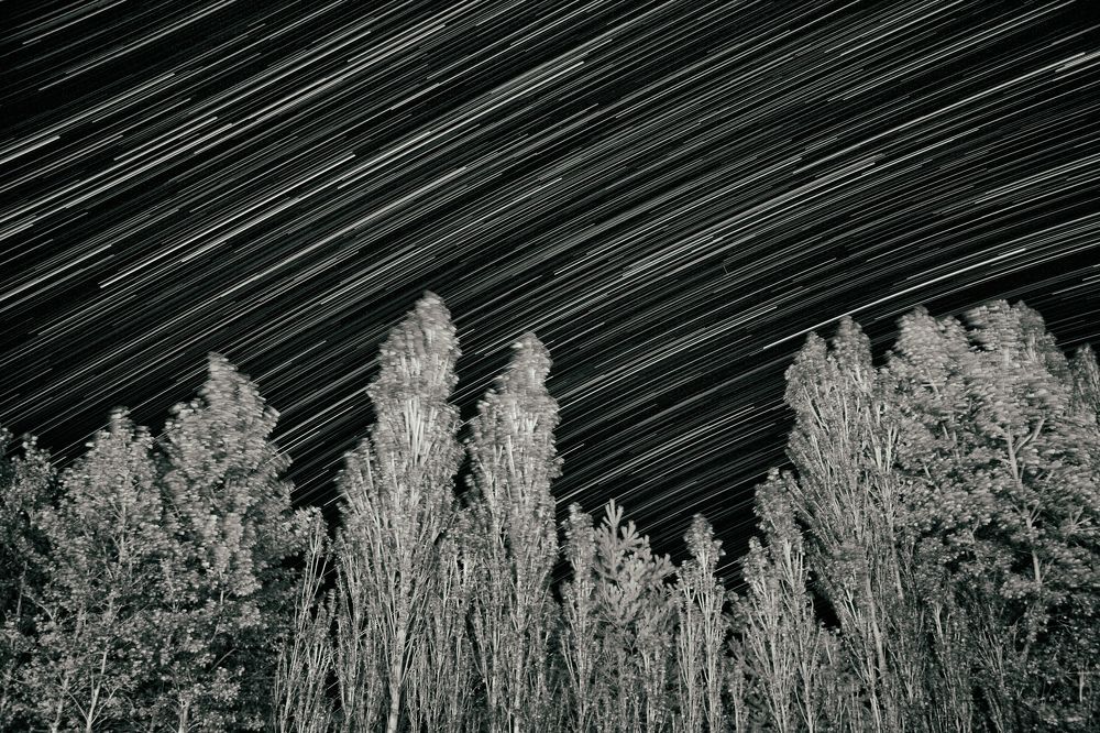 Photograph by mohammad reza ghorbanzade