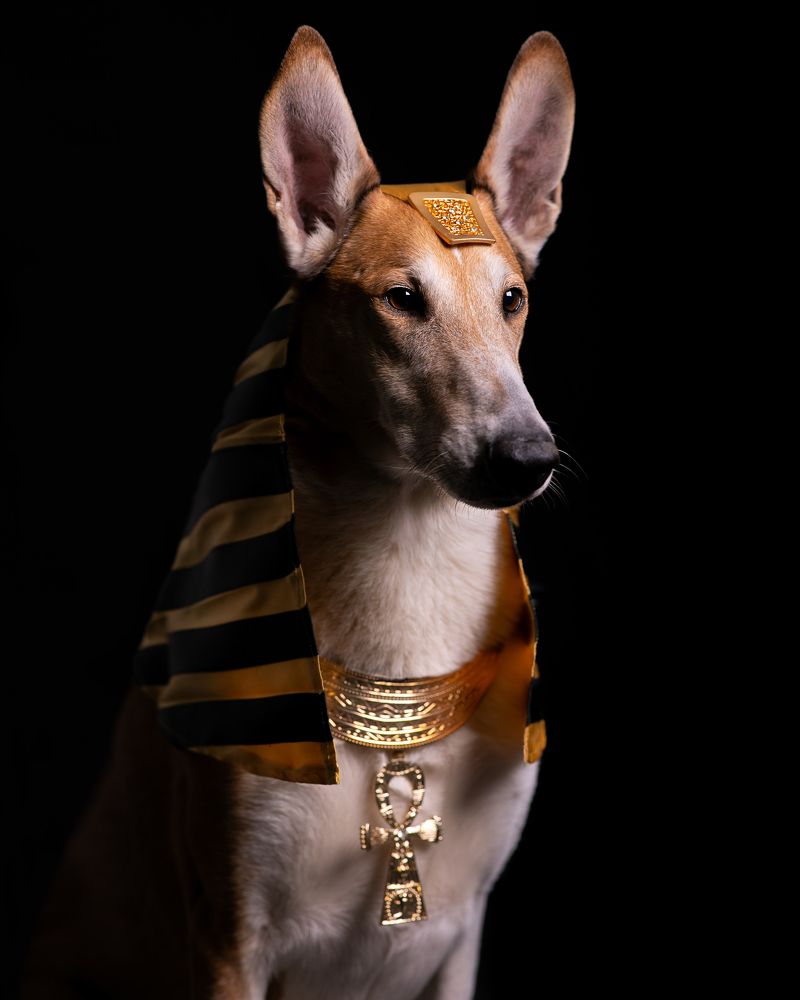 Photograph by Ольга Евграфова