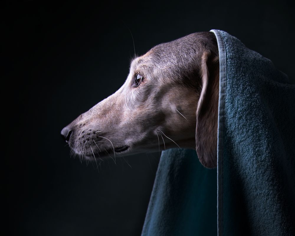 Photograph by Ольга Евграфова