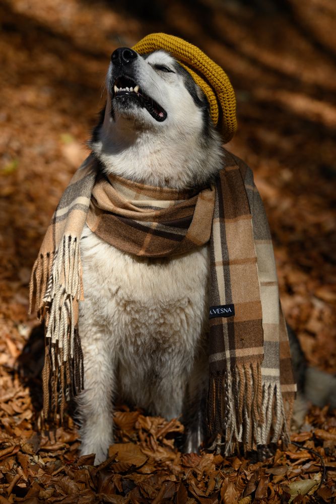 Photograph by Артем Колосов