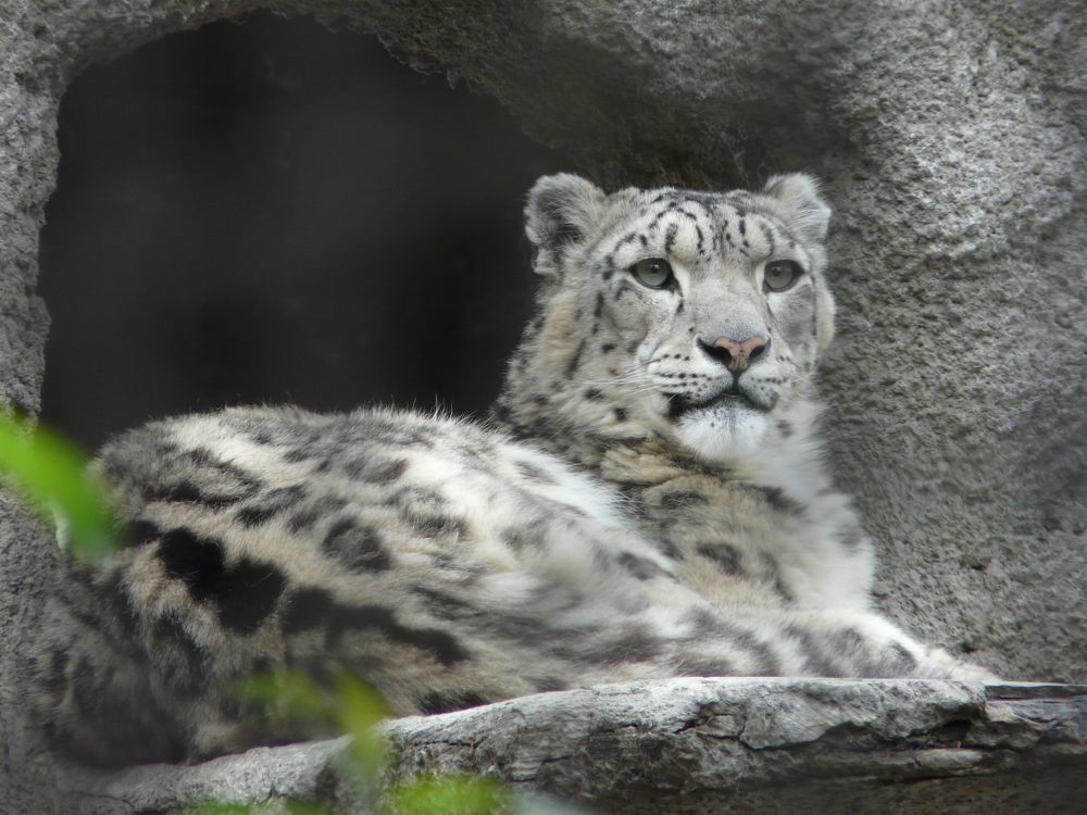 Photo #9831977