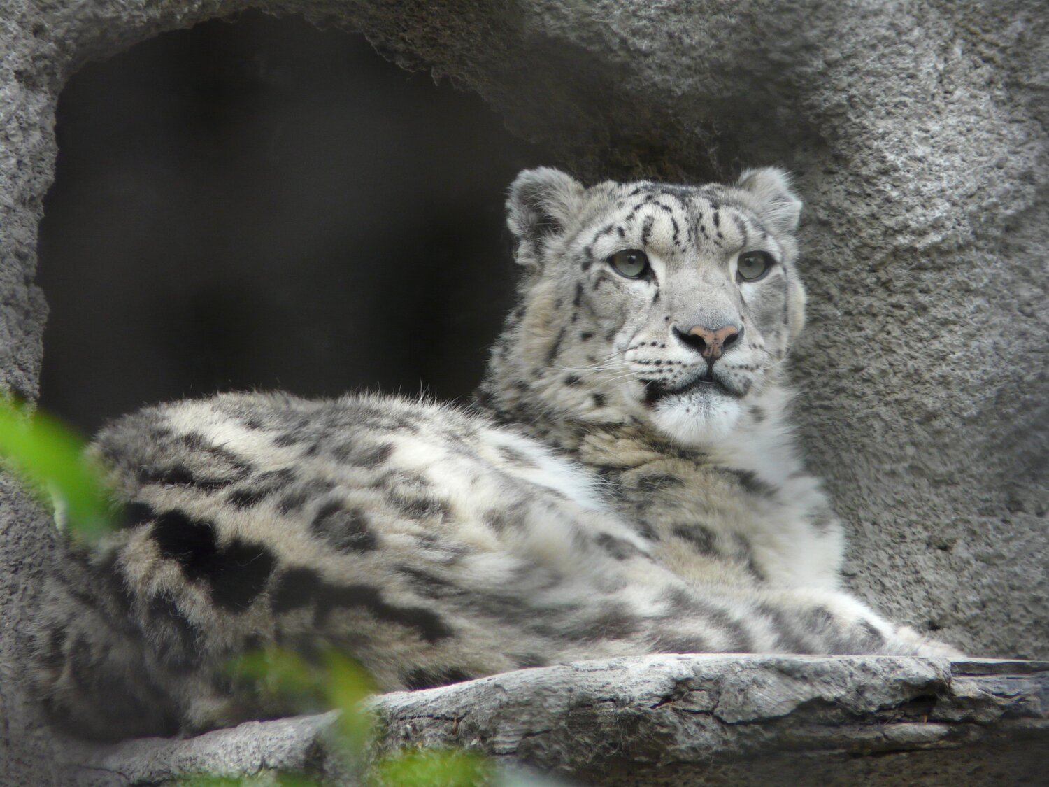 Photo #9831977