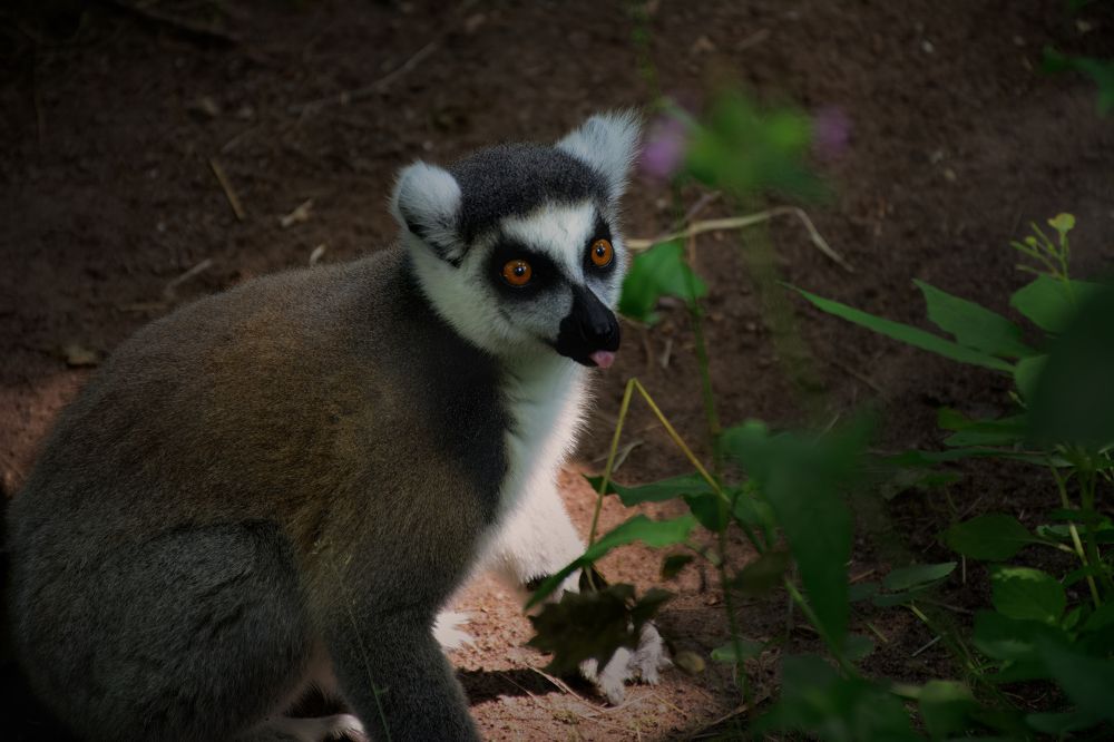 Photograph by Nicole Maria Oestreich