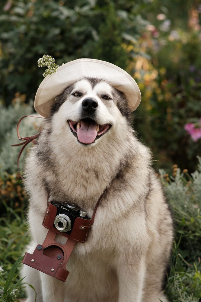 Photograph by Артем Колосов