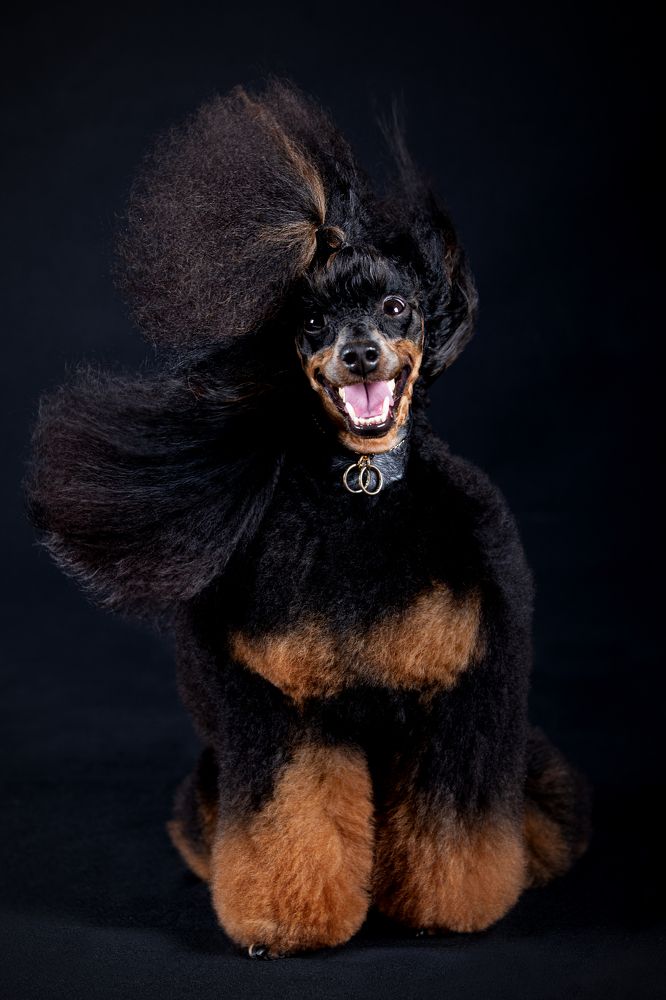 Photograph by Ольга Евграфова