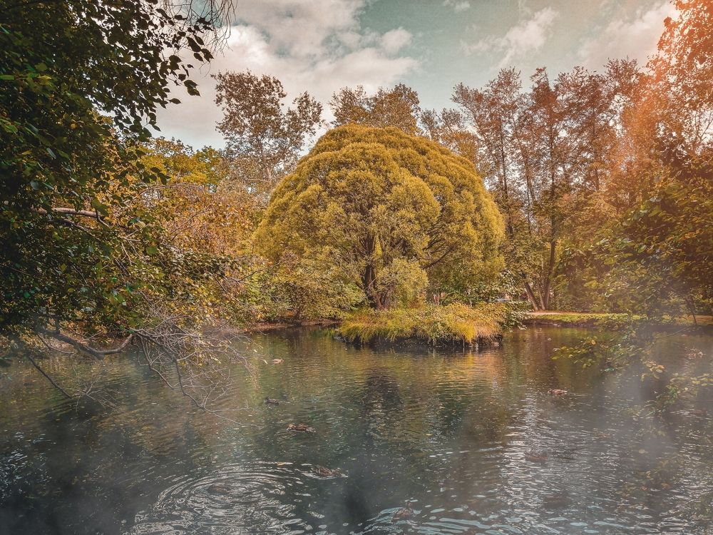 Photograph by Эрика Чечерина