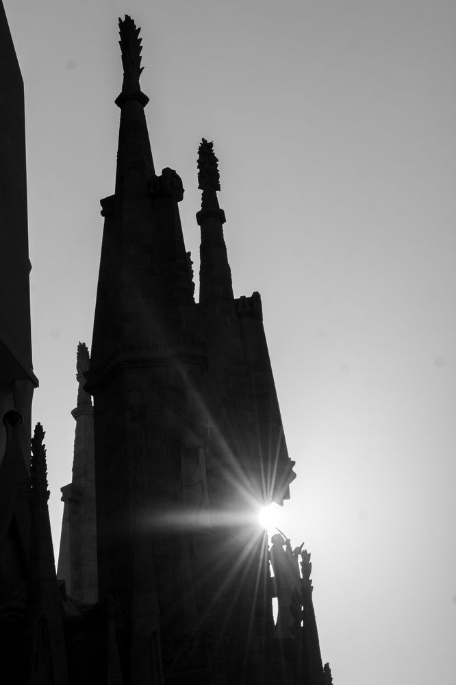 Photograph by esti lahat