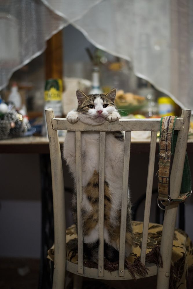 Photograph by Артем Колосов