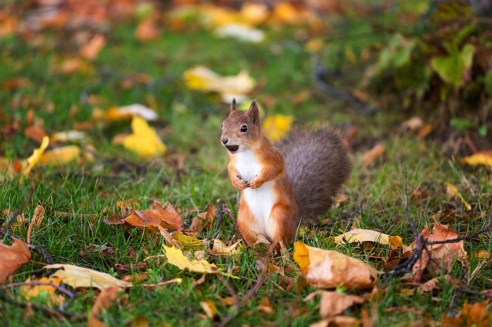 Photograph by Павел Клишин