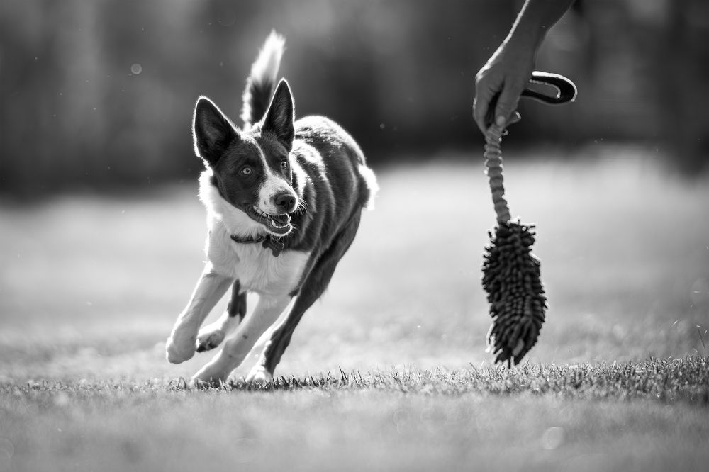 Photograph by Даниил Гладышев