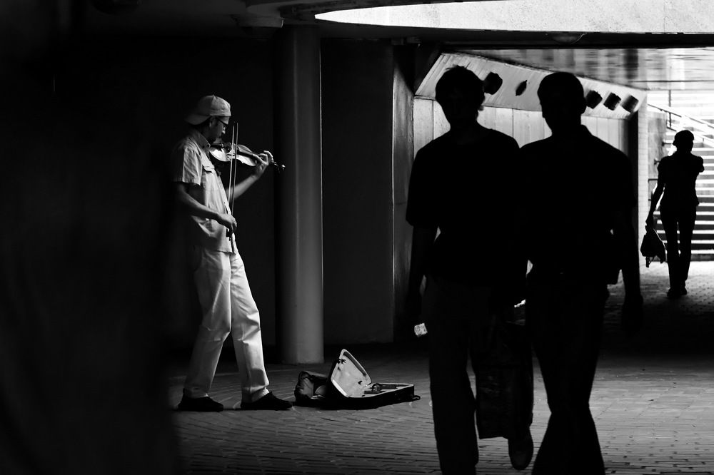 Фотография автора Семёнова Светлана