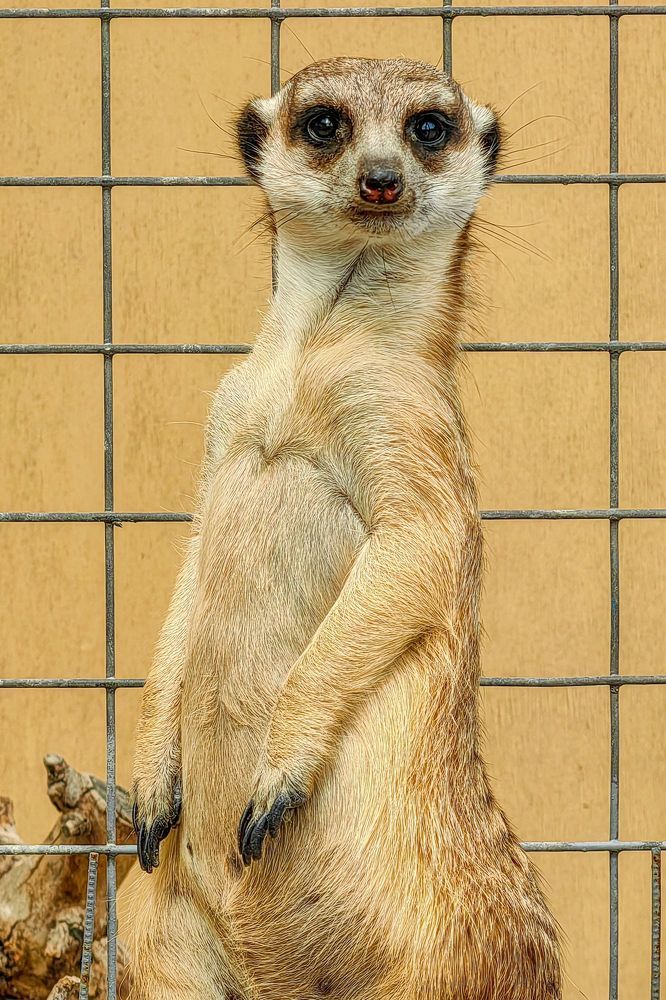 Photograph by Александр Максимов