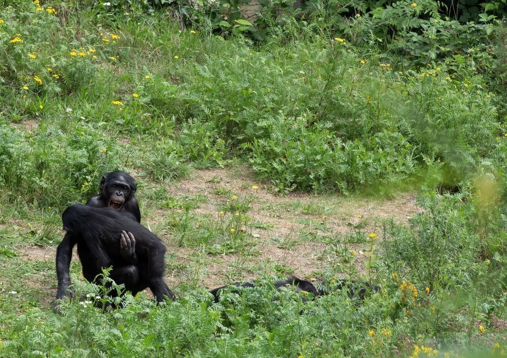 Photograph by Nicole Maria Oestreich