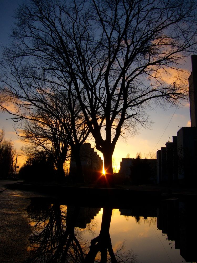 Фотография автора Aleksei Batiukov