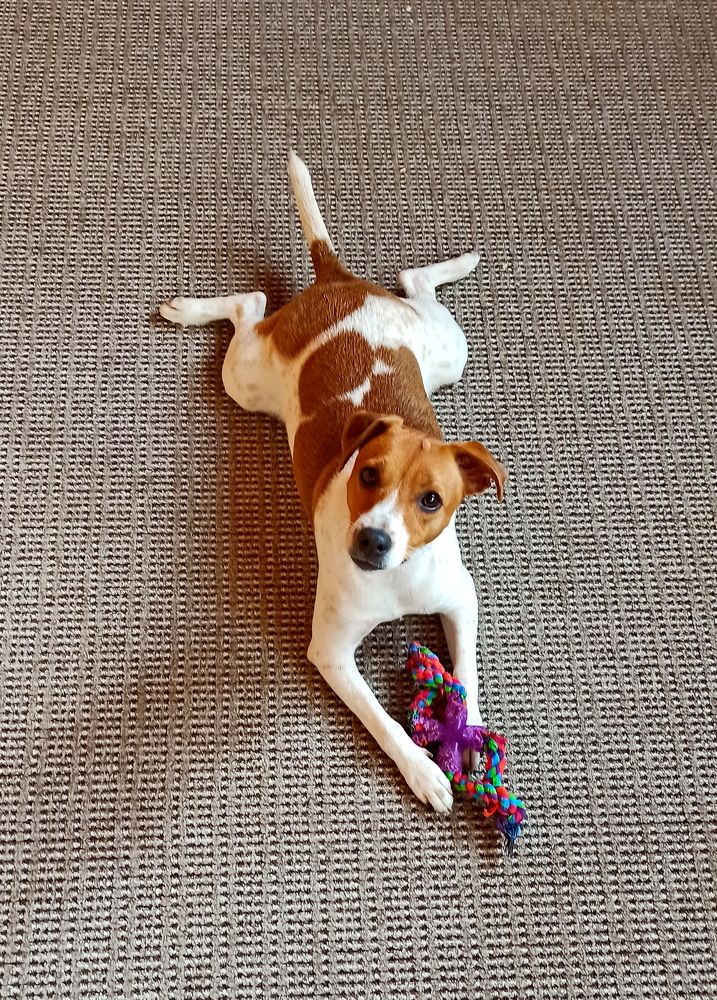 Фотография автора Сергей Тимофеев