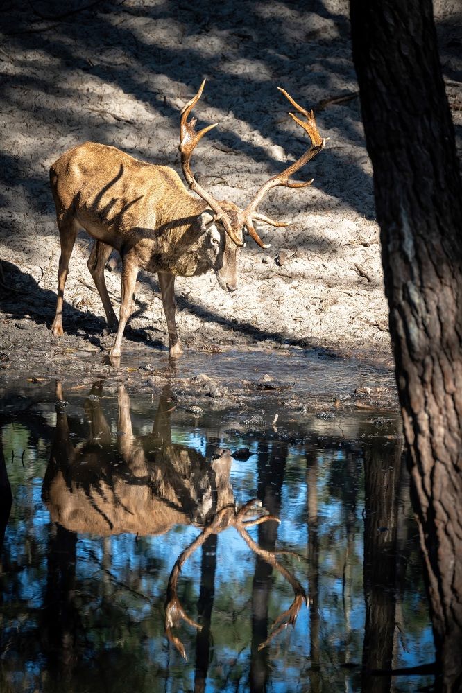 Photograph by Наталья Пирогова