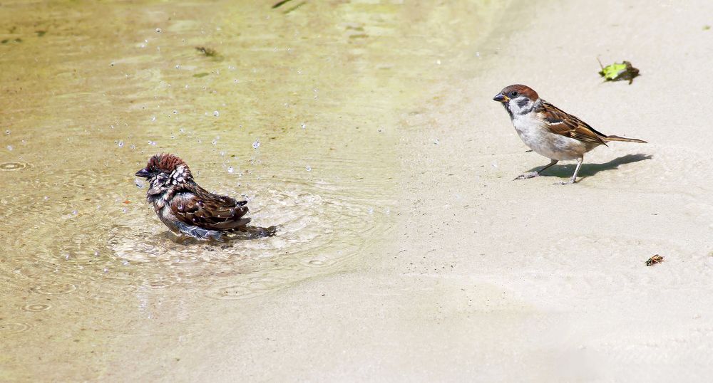 Photograph by Вячеслав Кровопусков