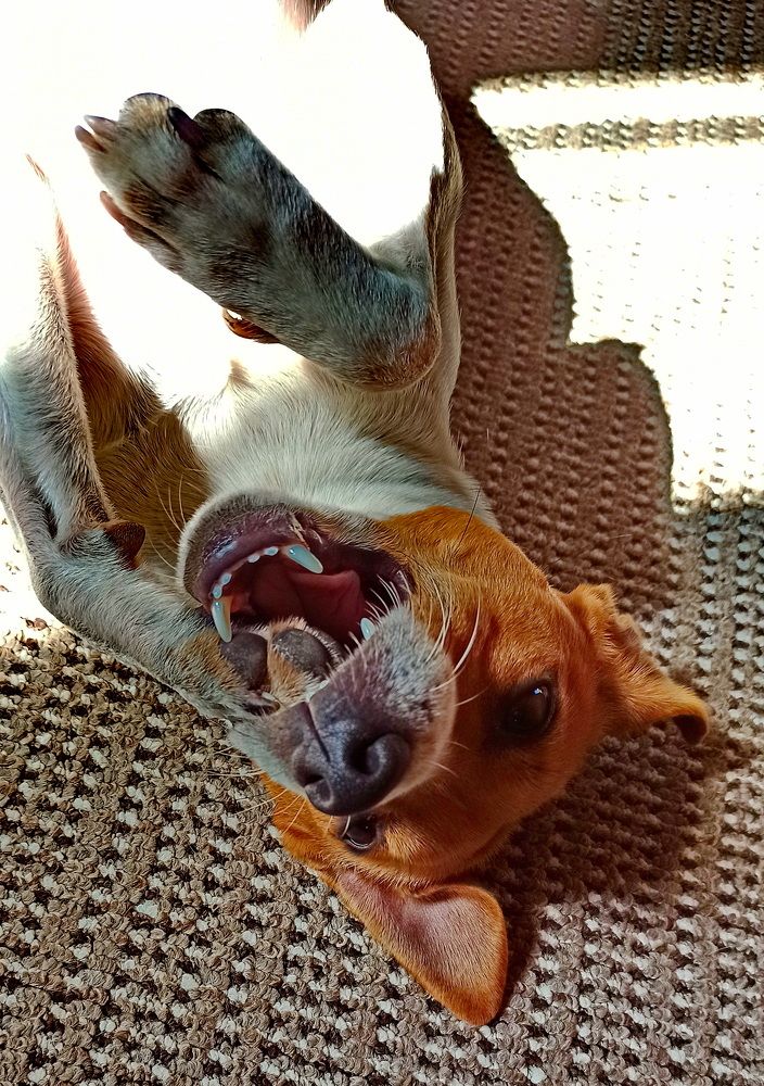 Фотография автора Сергей Тимофеев