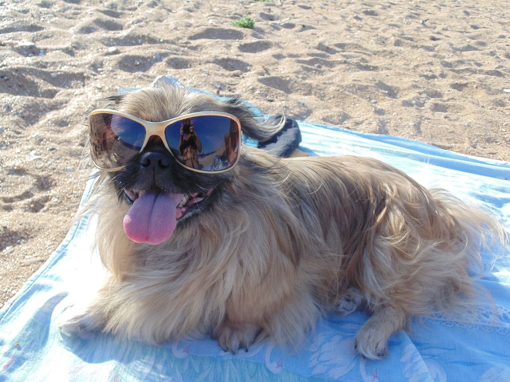 Photograph by Татьяна Стаскевич