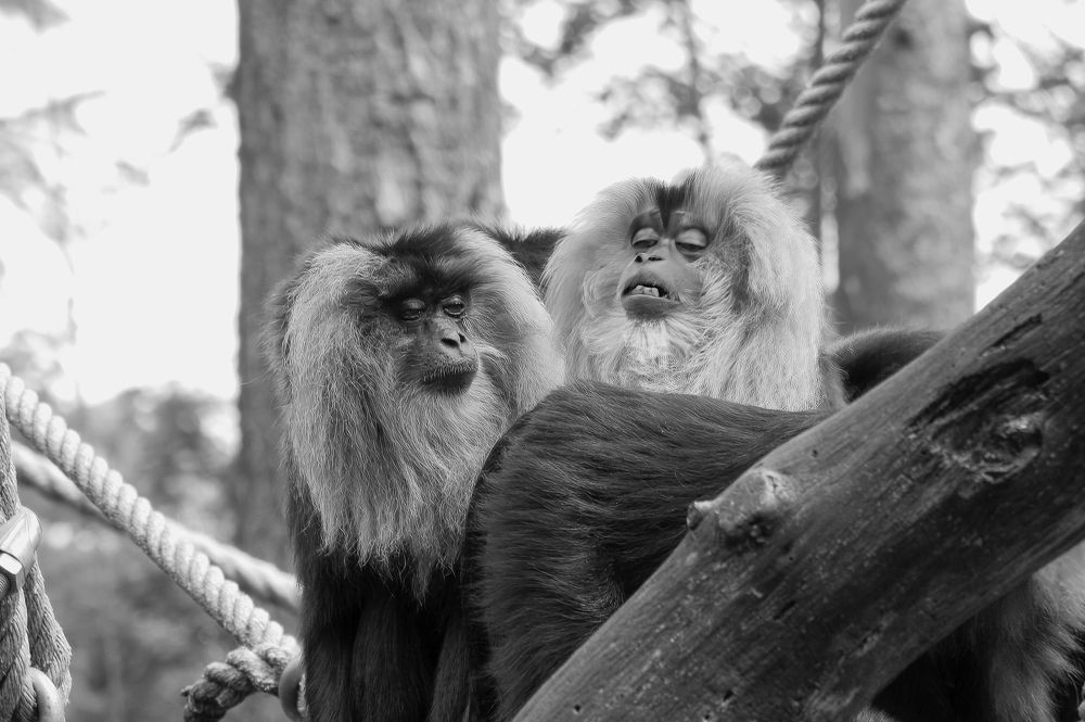 Photograph by Nicole Maria Oestreich