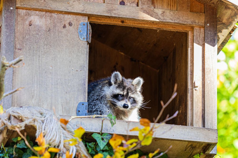 Photograph by Stanislav Strisovsky