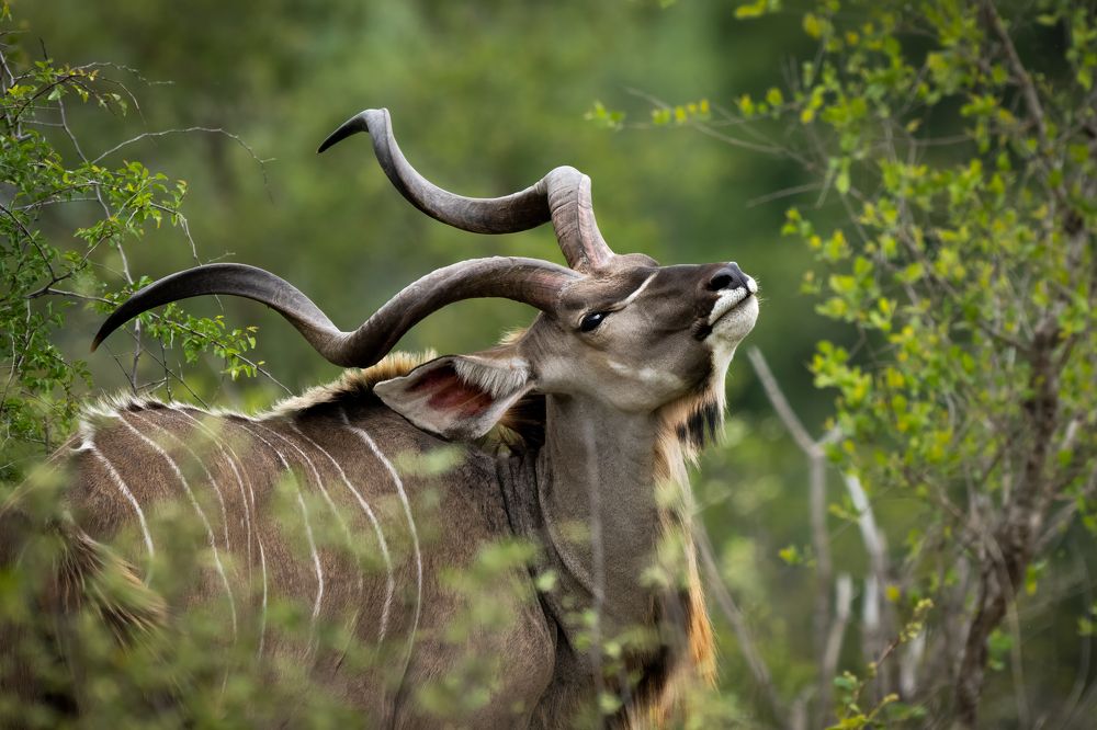 Photograph by Николай Мозгунов