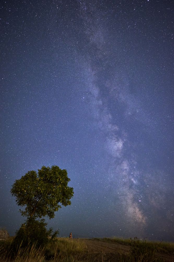 Photograph by Артем Колосов