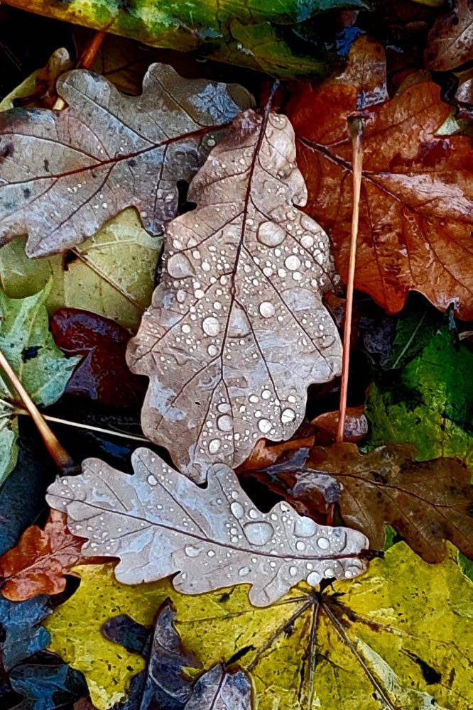 Photograph by Сергей Духновский