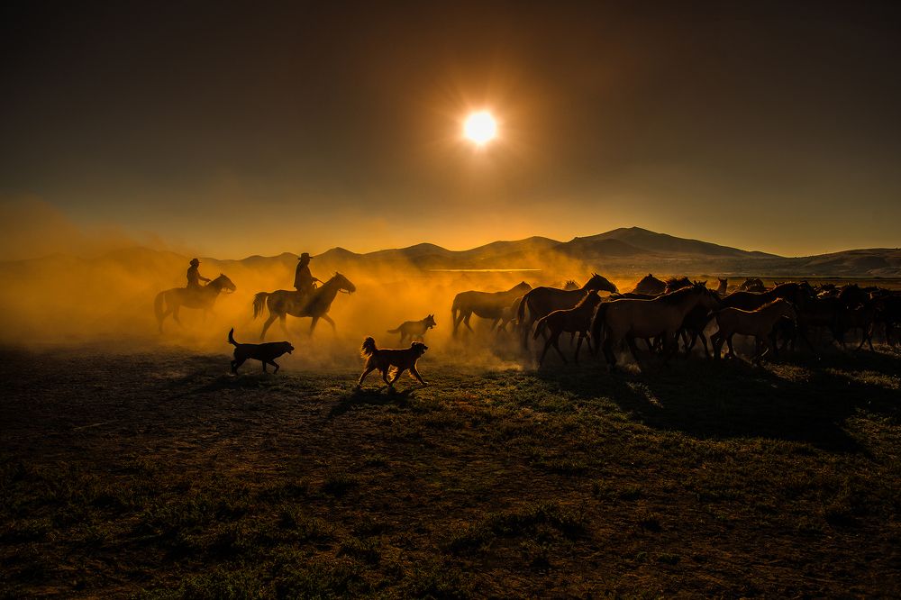 Photograph by Mürvet Rişvanoğlu