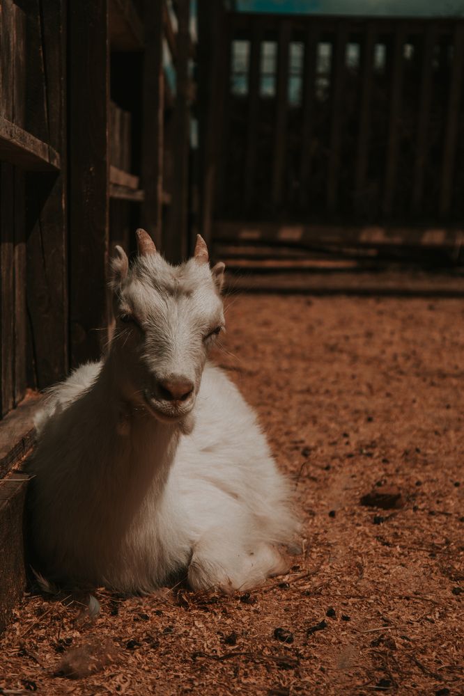 Photograph by Артур